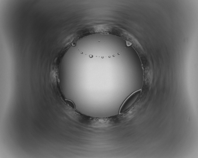 X0000116860329200912221143