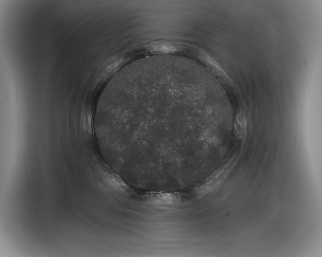 X0000116860330200912221143
