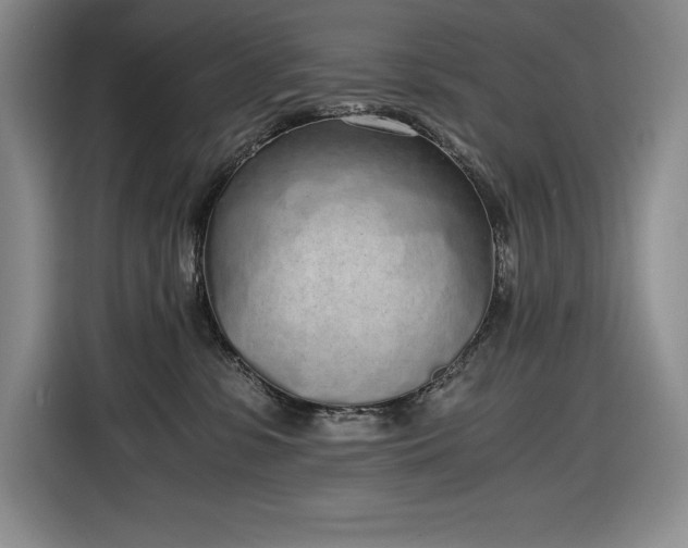 X0000116860331200912221143