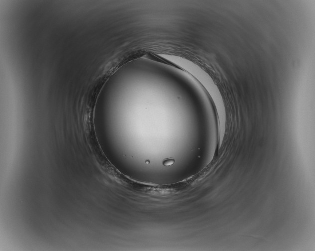X0000116860332200912221143