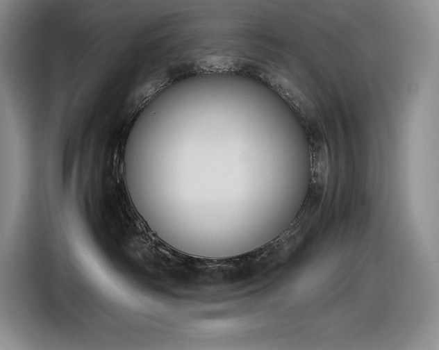 X0000116860334200912221143