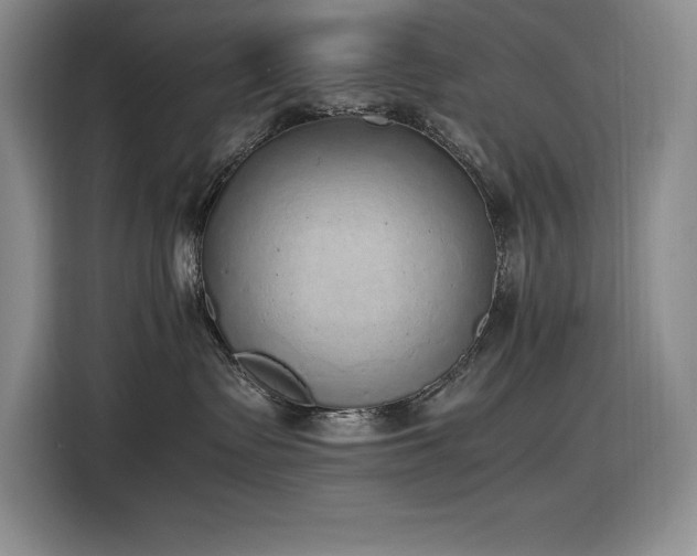 X0000116860335200912221143
