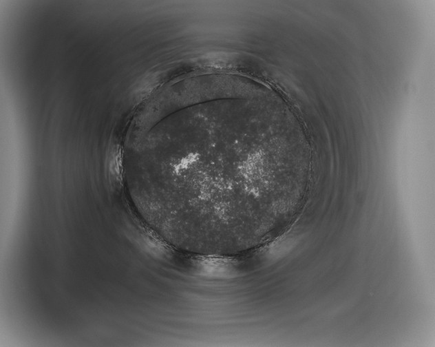 X0000116860336200912221143