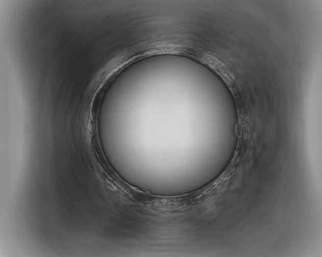X0000116860338200912221143