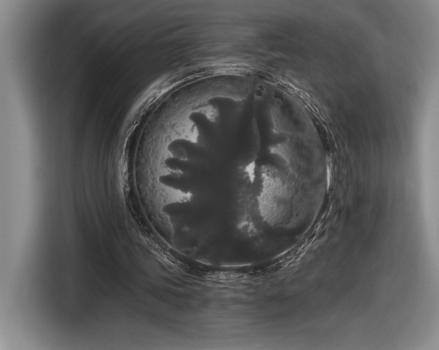 X0000116860339200912221143