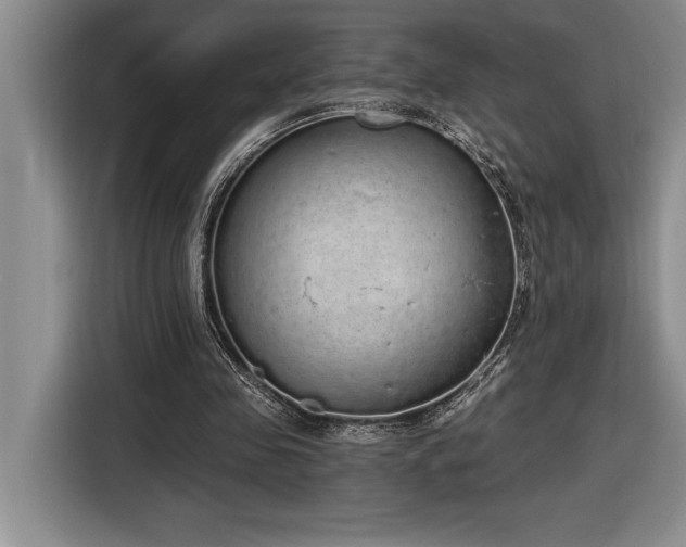 X0000116860341200912221143
