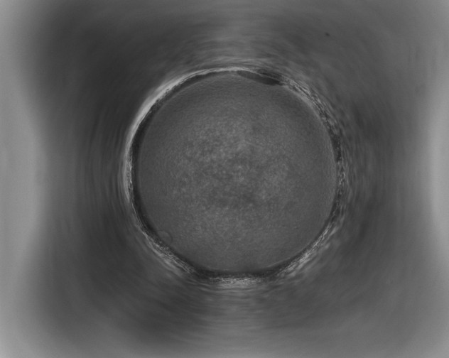 X0000116860342200912221143