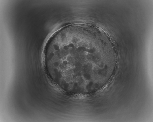 X0000116860343200912221143