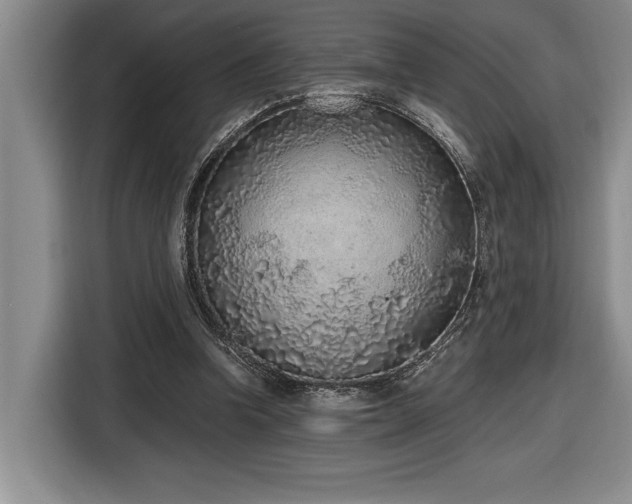 X0000116860346200912221143