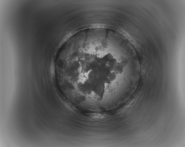 X0000116860347200912221143