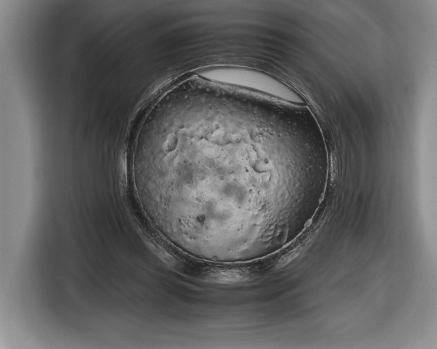 X0000116860349200912221143