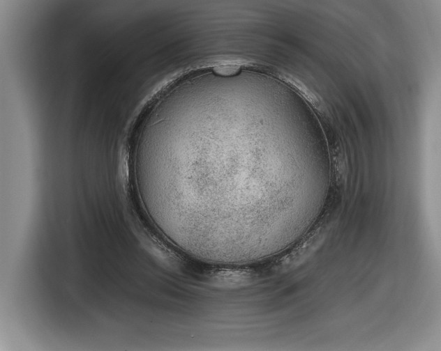 X0000116860350200912221143