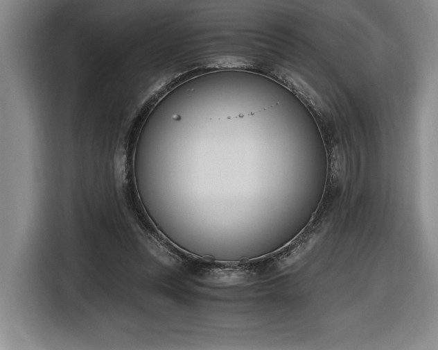 X0000116860351200912221143