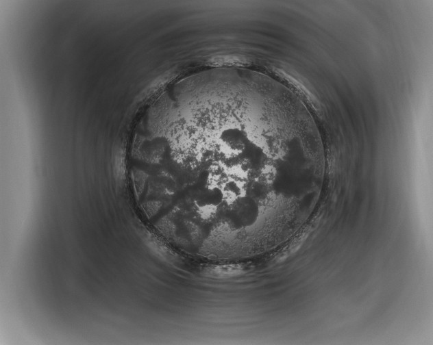 X0000116860353200912221143