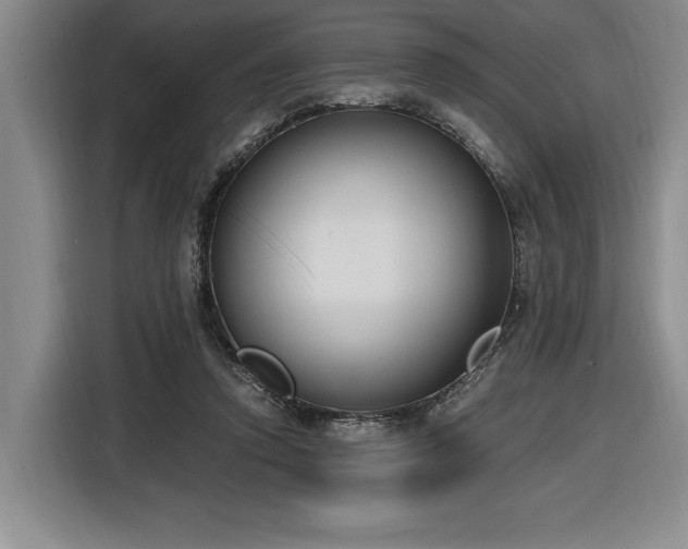 X0000116860354200912221143
