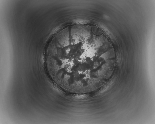 X0000116860357200912221143