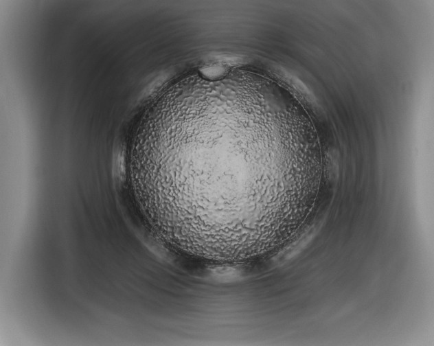 X0000116860358200912221143