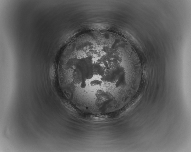 X0000116860359200912221143