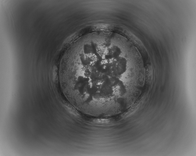 X0000116860361200912221143