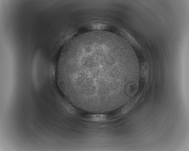 X0000116860363200912221143