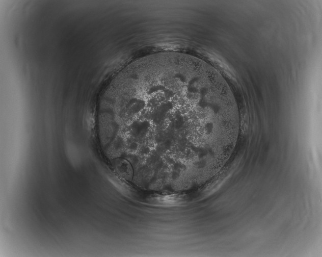 X0000116860365200912221143