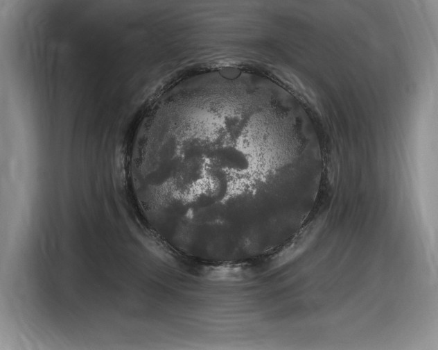X0000116860366200912221143