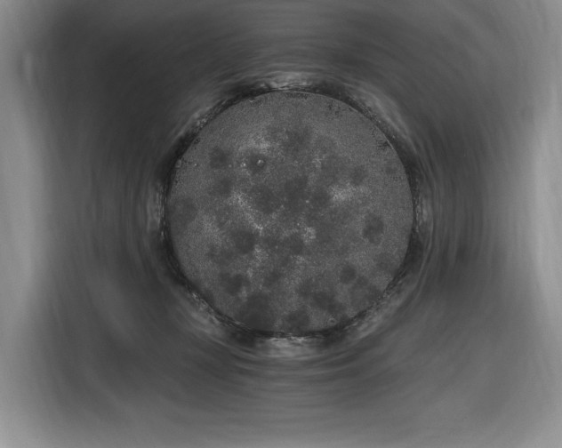 X0000116860367200912221143