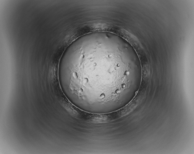 X0000116860369200912221143
