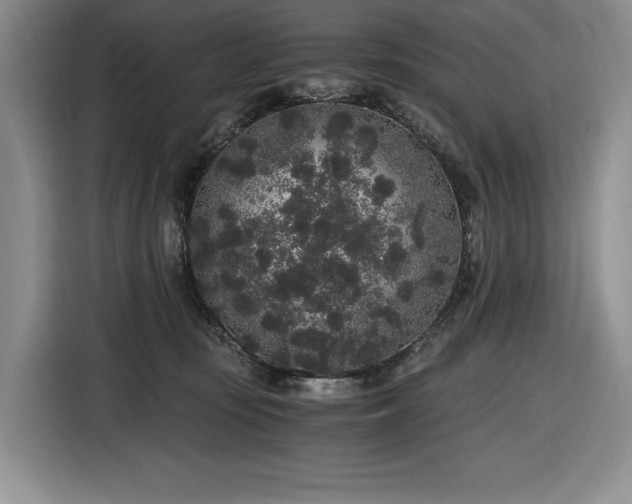 X0000116860371200912221143