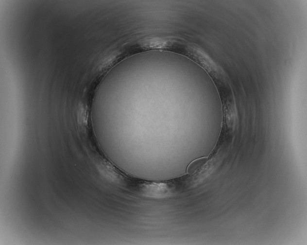 X0000116860374200912221143