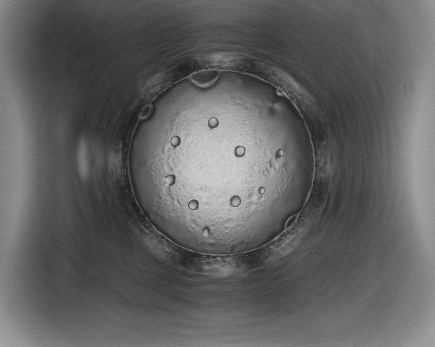 X0000116860377200912221143