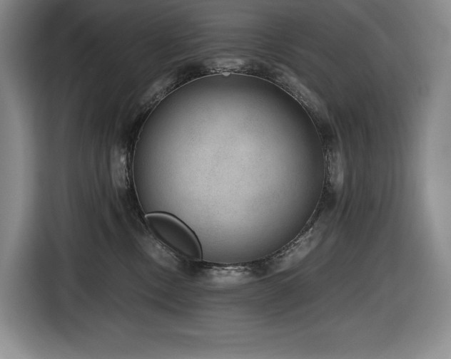 X0000116860378200912221143