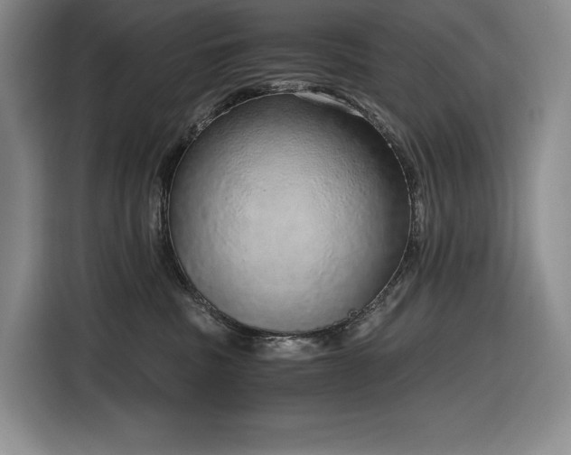 X0000116860379200912221143