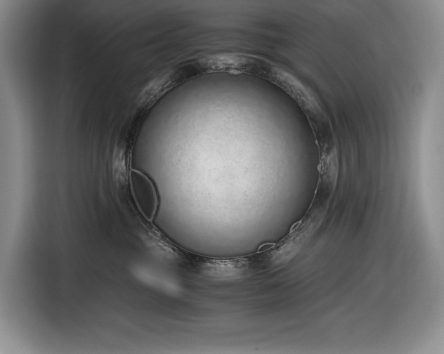 X0000116860381200912221143