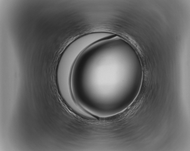 X0000116860385200912221143