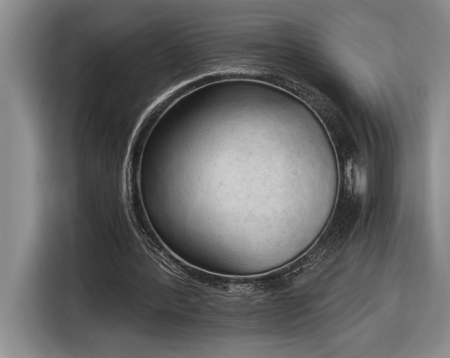 X0000116860388200912221143
