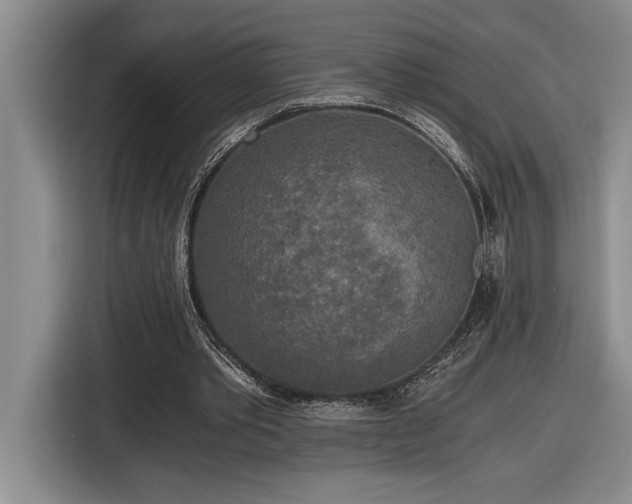 X0000116860389200912221143
