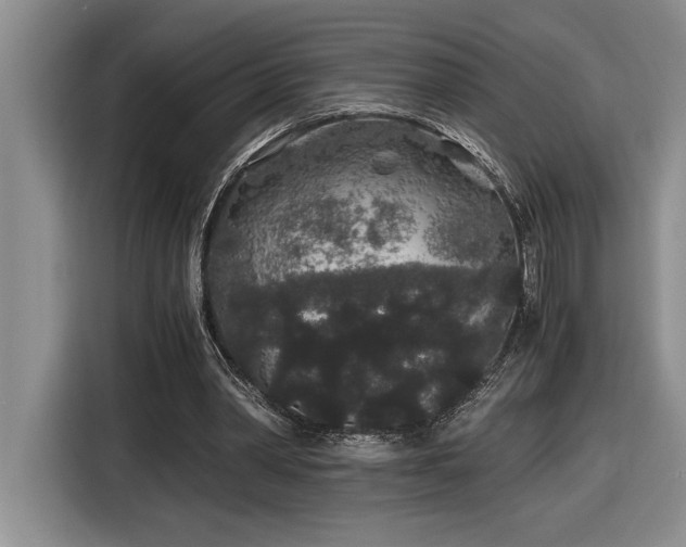 X0000116860390200912221143