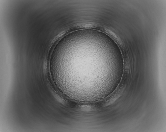 X0000116860394200912221143