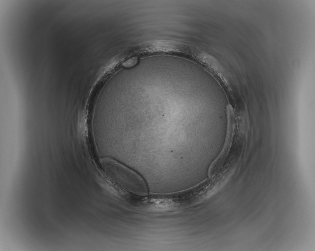 X0000116860395200912221143