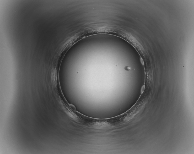 X0000116860397200912221143