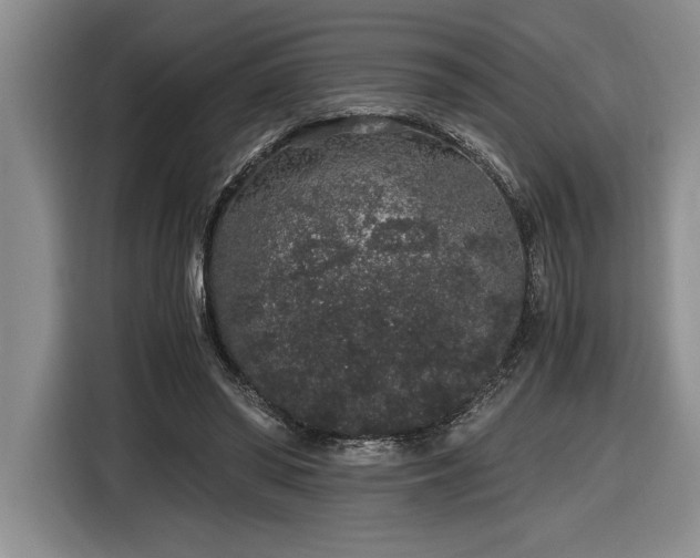 X0000116860398200912221142