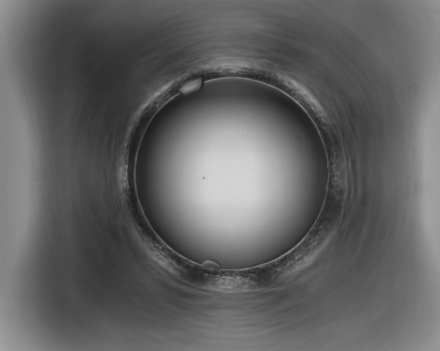 X0000116860399200912221142