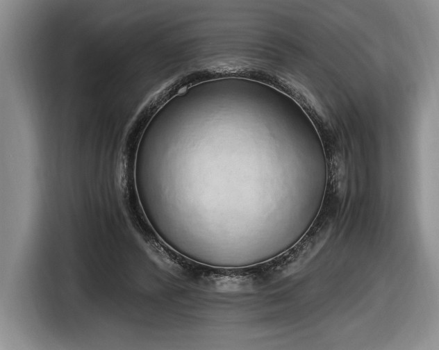 X0000116860400200912221142