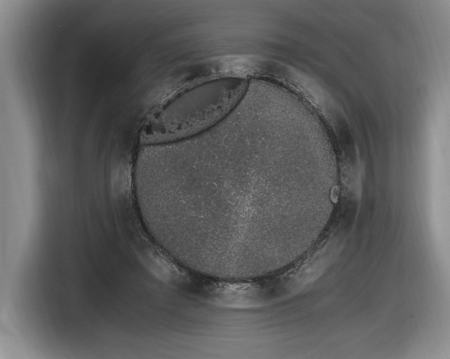 X0000116860401200912221142