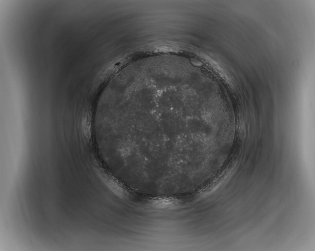 X0000116860402200912221142