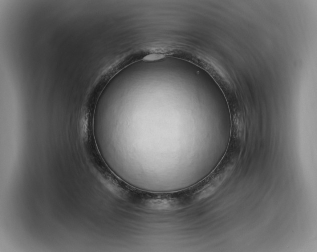 X0000116860404200912221142