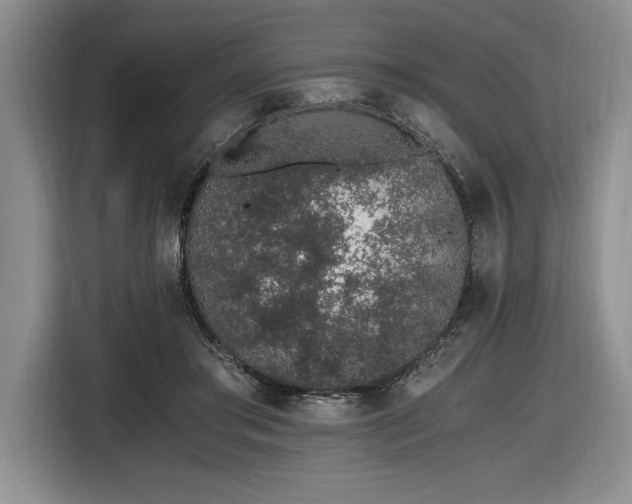 X0000116860405200912221142