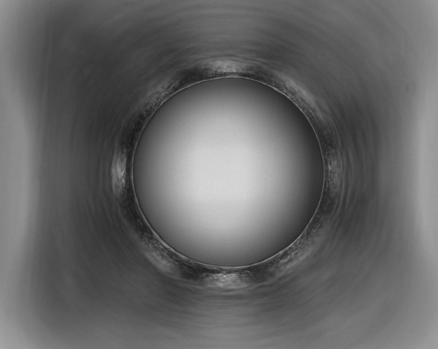 X0000116860406200912221142