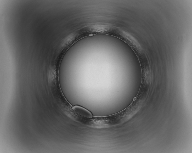X0000116860407200912221142